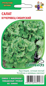 Салат Кучерявец сибирский (Симбиоз)  купить