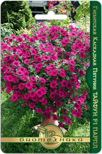 Петуния Торнадо Парпл F1 8шт гигантская ампельная  купить