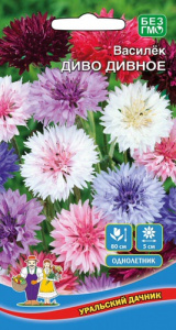Василек Диво дивное купить