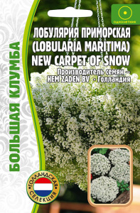Лобулярия (Алиссум) New Carpet of Snow купить