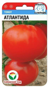 Томат Атлантида  купить