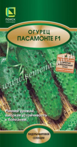 Огурец Пасамонте F1 купить