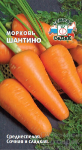 Морковь Шантино  купить