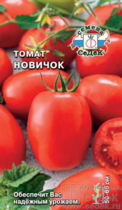 Томат Новичок  купить