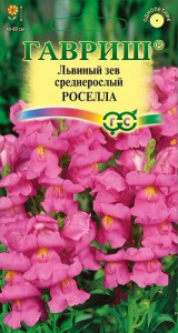 Львиный Зев Рассела  купить