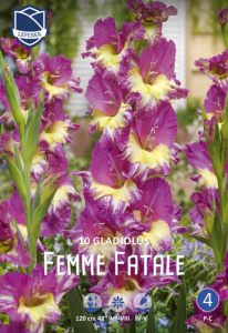 Гладиолус XXL Femme Fatale 14/16 /10шт купить