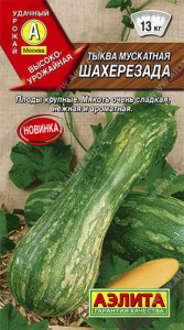 Тыква Шахерезада мускатная  купить