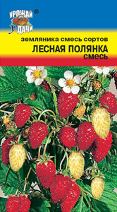 Земляника Лесная Полянка, смесь ремонтантная купить