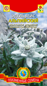 Эдельвейс Альпийский купить
