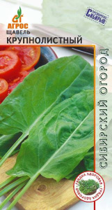 Щавель Крупнолистный  купить