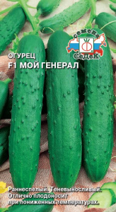 Огурец Мой генерал F1 купить