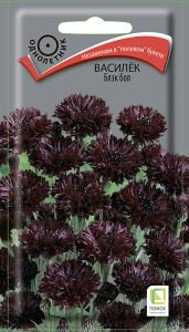 Василек Блэк бол купить