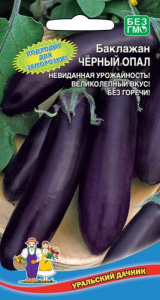 Баклажан Черный Опал  купить