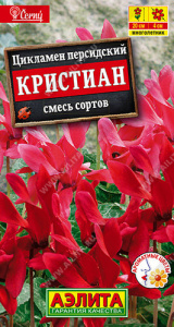 Цикламен персидский Кристиан, смесь  купить
