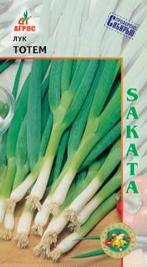 Лук Тотем, батун купить