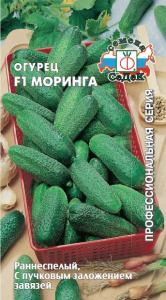 Огурец Моринга F1 купить