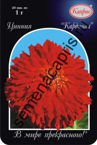 Цинния Кардинал/1шт купить