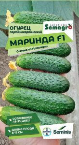 Огурец Маринда F1  купить