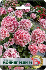 Пеларгония зональная Монинг Рейн F1 купить