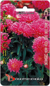 Астра Классик Малиновый  купить