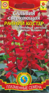 Сальвия сверкающая Ранний костер  купить