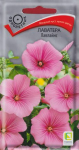 Лаватера Лавлайнс купить