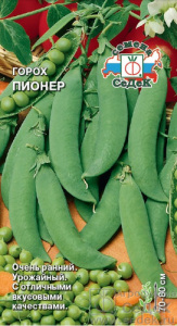Горох Пионер  купить