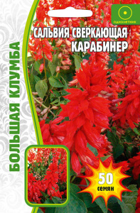 Сальвия Карабинер сверкающая купить