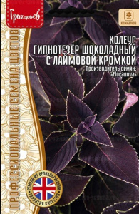 Колеус гипнотезёр Шоколадный с Лаймовой Кромкой  купить