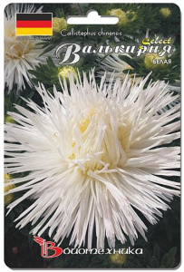 Астра Валькирия SELECT Белая  купить