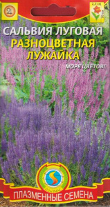 Сальвия луговая Разноцветная лужайка  купить