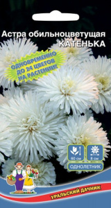Астра обильноцветущая Катенька  купить