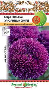 Астра Большая хризантема синяя купить