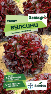 Салат Вулсини F1 купить
