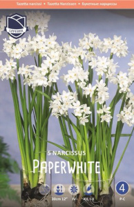 Нарцисс tazetta "Paperwhite" (IL) (1х5шт) купить