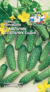 Огурец Мальчик с пальчик СеДеК F1  купить