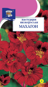 Настурция низкорослая Махагон купить