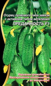 Огурец Преданность F1 ® купить
