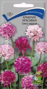 Армерия красивая Смесь окрасок купить