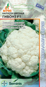 Капуста (цветная) Гивонт F1  Seminis купить