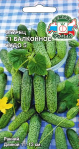 Огурец Балконное Чудо 5  F1 купить