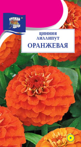 Цинния лиллипут Оранжевая купить