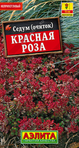 Седум Красная роза  купить