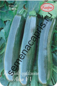 Кабачок Ассо цуккини  F1 (Сингента) /1шт купить