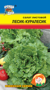 Салат Лесик Куралесик  купить