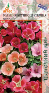 Годеция Уитни  купить