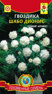 Гвоздика Шабо Дионис садовая купить