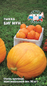 Тыква Биг мун купить
