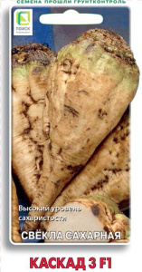 Свекла сахарная Каскад 3 F1 купить