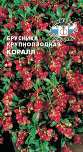 Брусника Коралл крупнопл. купить